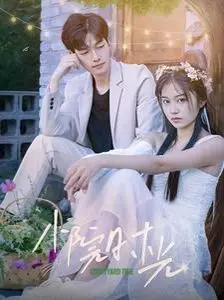 《小院时光》：治愈系田园牧歌，找寻内心宁静的港湾，体验慢生活的美好