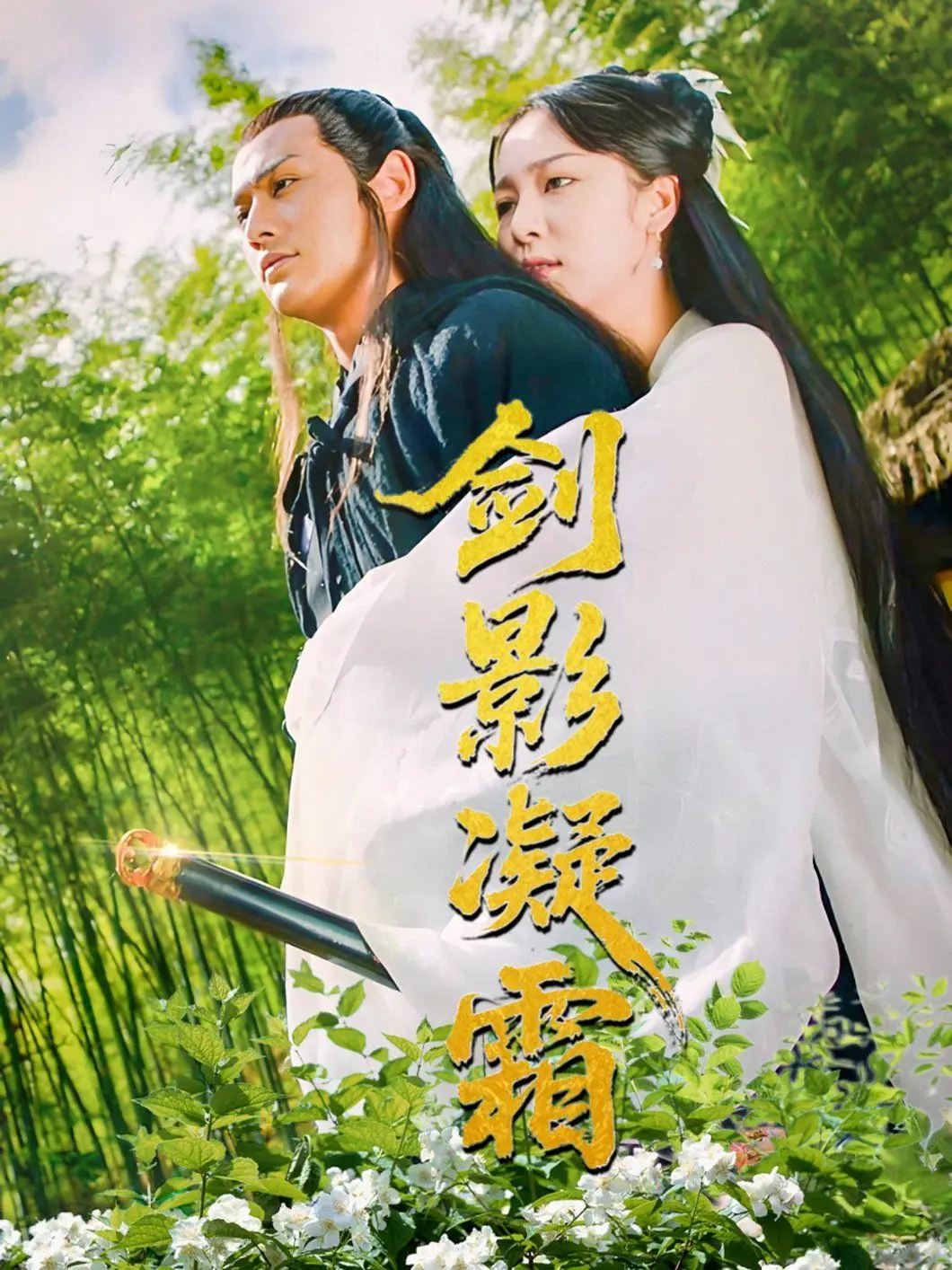 《剑影凝霜》：武侠江湖爱恨情仇，看侠客如何披荆斩棘，守护心中的正义！