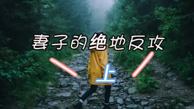 《妻子的绝地反攻》：当婚姻亮起红灯，一场反击战如何捍卫幸福与尊严？