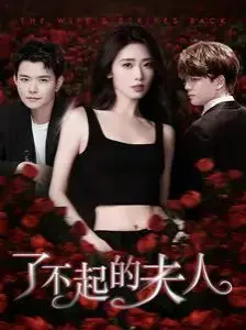 《了不起的夫人》：乱世浮沉中的女性觉醒，一部挑战命运的坚韧史诗