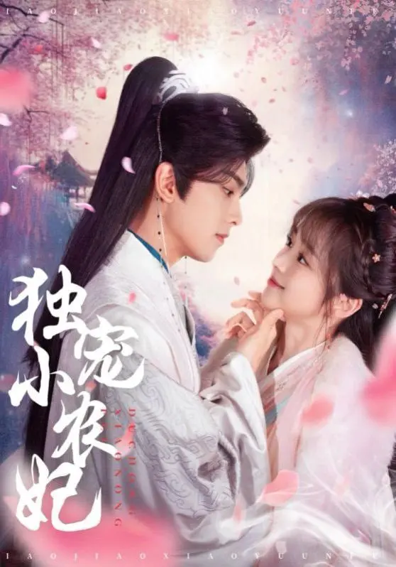 《独宠小农妃》：古代宅斗宅斗宫廷权谋的精彩糅合，看平凡农女如何逆袭称后